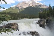 13 - Athabasca Falls - IMG_1072